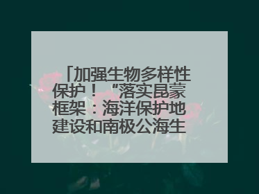 加强生物多样性保护！“落实昆蒙框架：海洋保护地建设和南极公海生态保护”主题论坛将举办